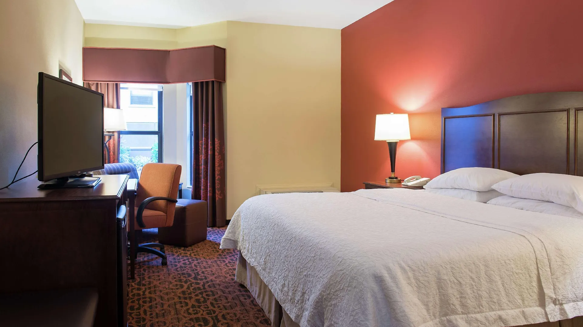 Hampton Inn & Suites Tampa-North Hotel Tampa
