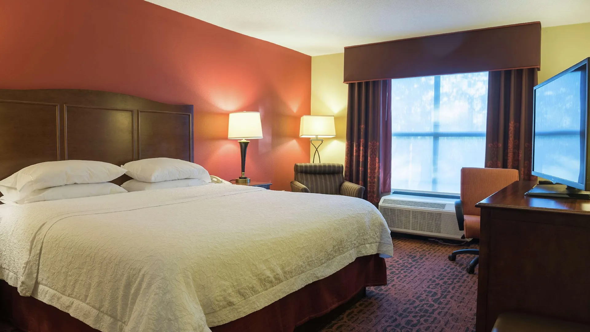 *** Hotel Hampton Inn & Suites Tampa-North United States
