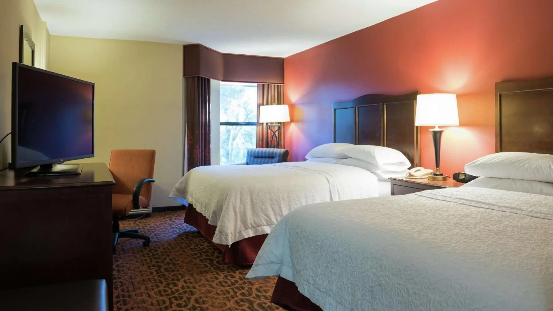 Hotel Hampton Inn & Suites Tampa-North