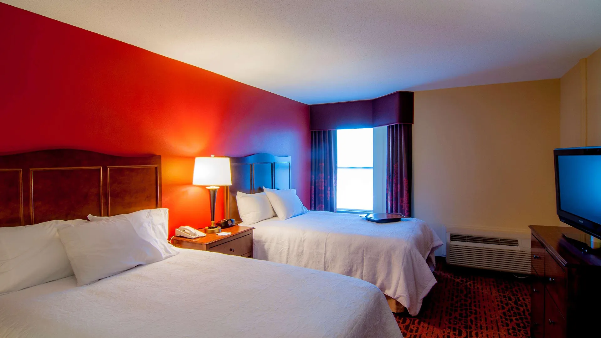 Hotel Hampton Inn & Suites Tampa-North